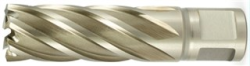 STYLE 4501 HSS ANNULAR CUTTER 3/4"X2"